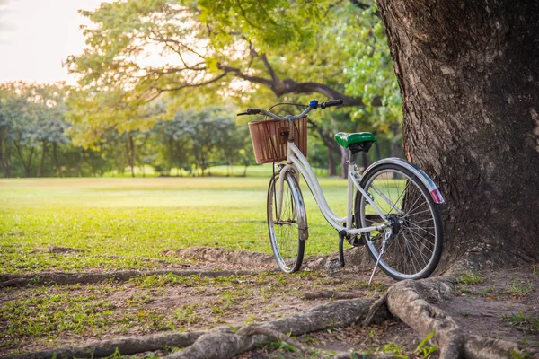 Vit cykel i grön park — Stockfoto