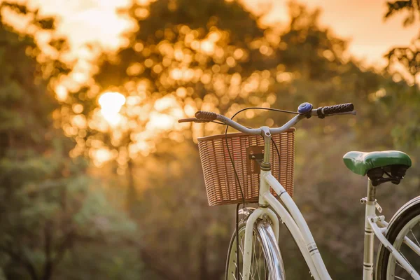 緑豊かな公園で白い自転車 — ストック写真