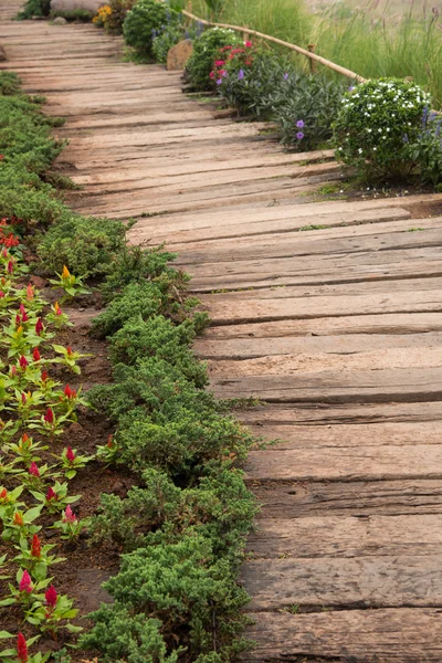 Wooden walkway in garden — Stock Photo, Image