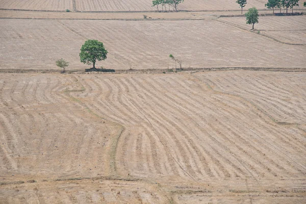 Terra vazia da agricultura no verão — Fotografia de Stock