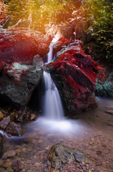 Cachoeira de floresta profunda bonita em Nakornnayok, Tailândia — Fotografia de Stock