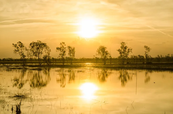 Hora de ouro do céu por do sol — Fotografia de Stock