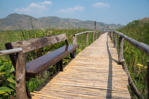 Pasarela puente de bambú a través del bosque verde — Foto de Stock