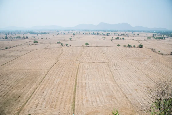 Tierra vacía de la agricultura en el verano — Foto de Stock