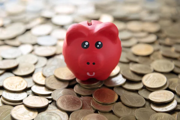 red piggy bank on coins background