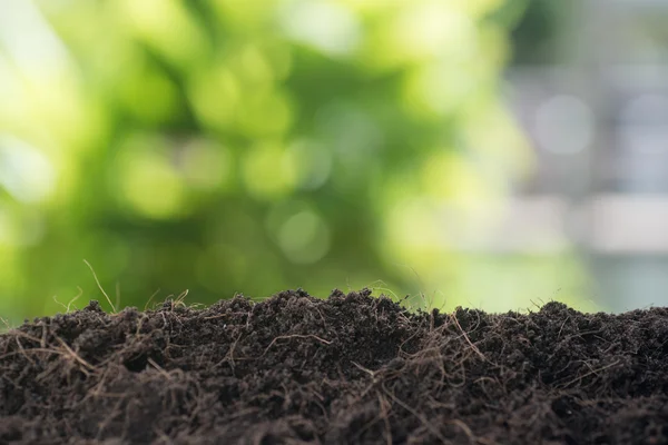 Sol vide prêt pour la plante avec fond de feuille verte — Photo