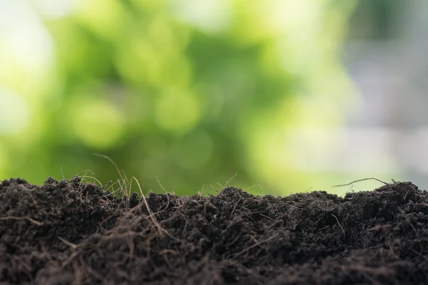 Üres a talaj készen áll a növény zöld levél háttérrel — Stock Fotó