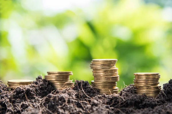 Tillväxten av gyllene mynt i jord med grönt blad bakgrund — Stockfoto