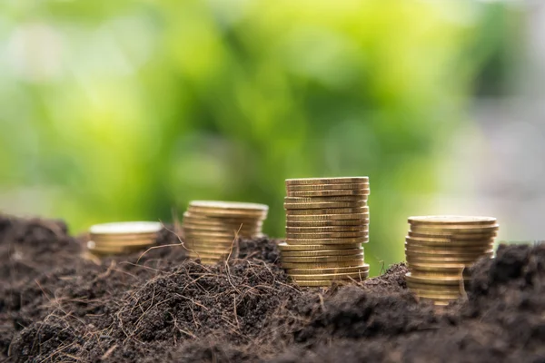 Tillväxten av gyllene mynt i jord med grönt blad bakgrund — Stockfoto
