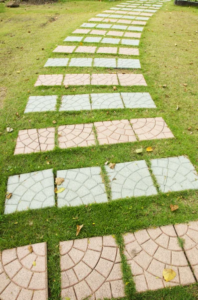 Passerelle de ciment coloré sur herbe verte — Photo