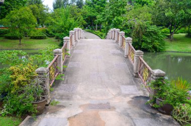 Parktaki güzel köprü