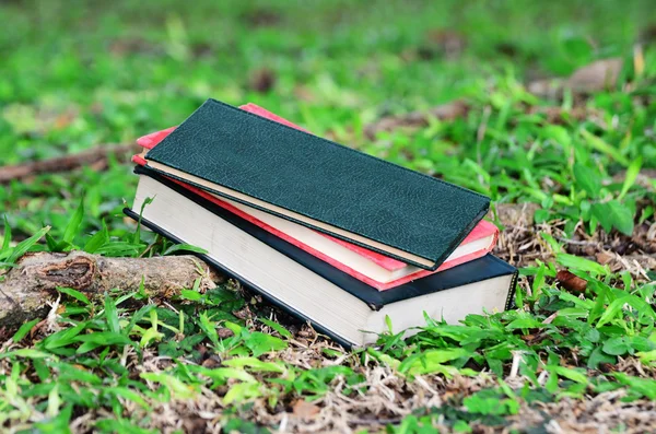 Blank book on grass in a park — Stock Photo, Image