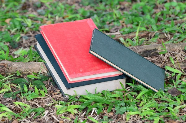 Boek met blanke pagina op gras in een park — Stockfoto