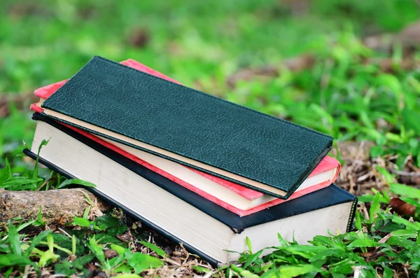 Blank book on grass in a park — Stock Photo, Image