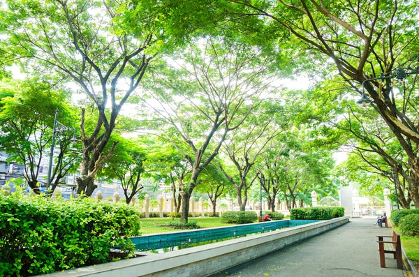 Zöld park a város látképe — Stock Fotó