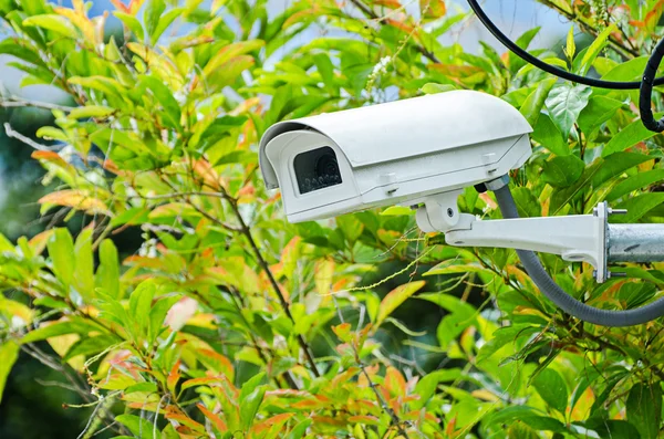 Telecamera di sicurezza di sorveglianza o CCTV — Foto Stock