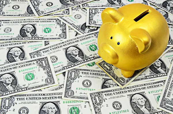 Arany Piggy bank dollár pénzt háttér — Stock Fotó