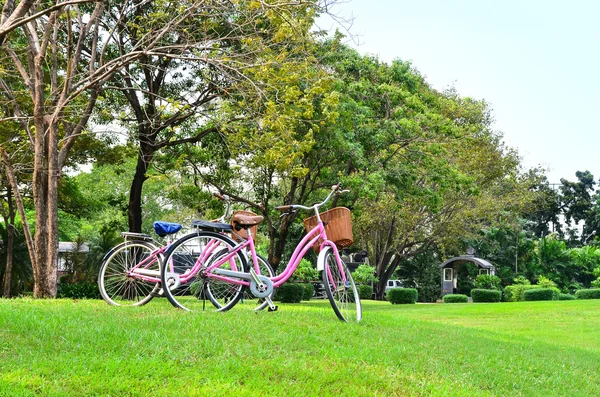 Biciclete în parc — Fotografie, imagine de stoc