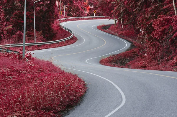 Кривая дороги — стоковое фото
