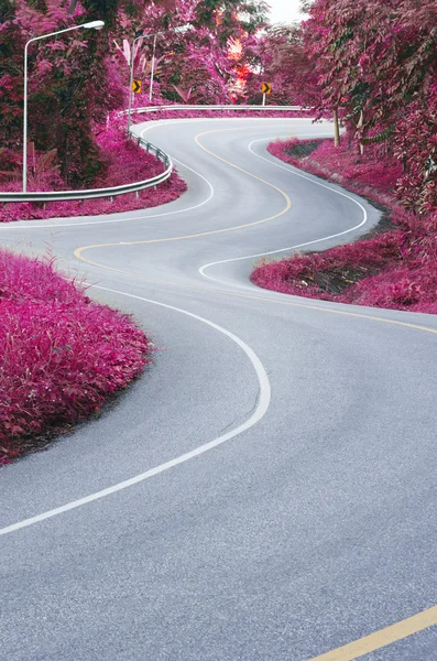Curve of the road — Stock Photo, Image