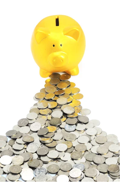 Um banco porquinho em moedas isoladas em fundo branco — Fotografia de Stock