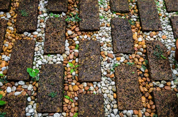 Stone walkway in garden — Stock Photo, Image