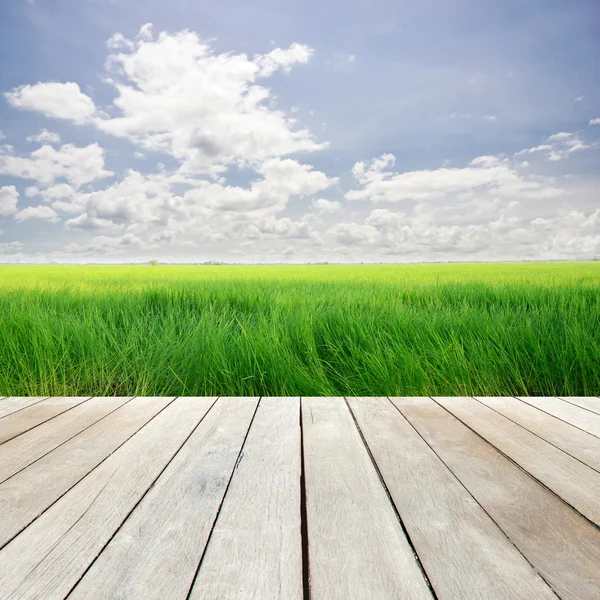 Legno tavole pavimento con sfondo cielo blu — Foto Stock
