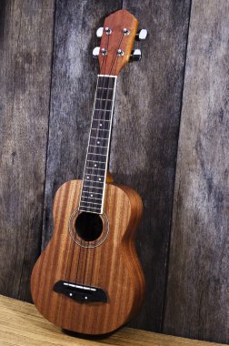 ukulele guitar clipart