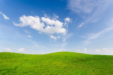 Mavi gökyüzü ile yeşil çimen
