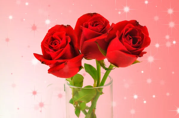 美しい赤いバラが白い背景に — ストック写真