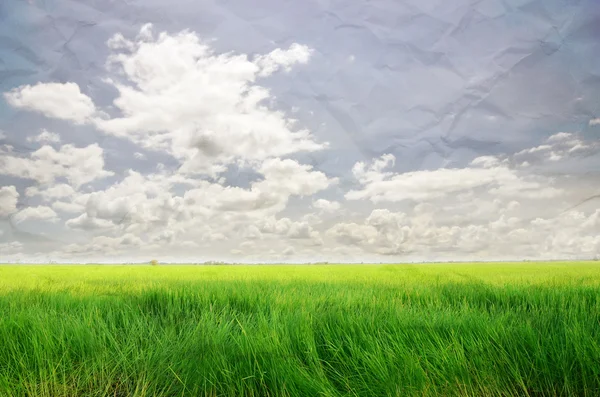 Vy över land fält under molnig himmel — Stockfoto