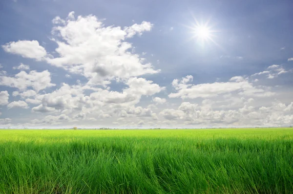 Vy över land fält under molnig himmel — Stockfoto