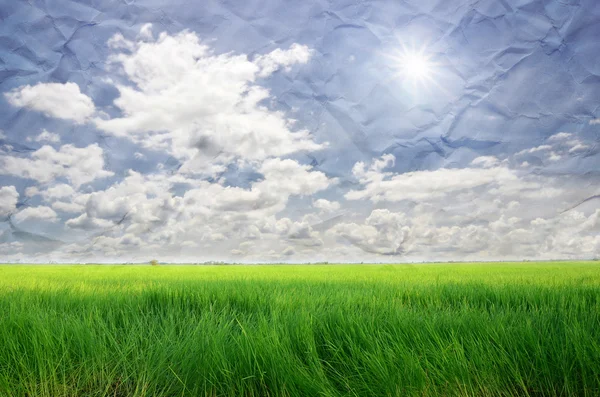 View of country field under cloudy sky — Stock Photo, Image