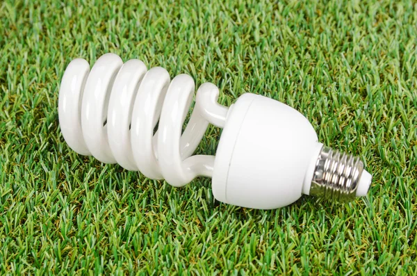 Energy saving light bulbs on green grass background — Stock Photo, Image