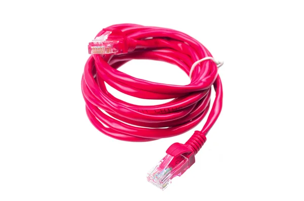 Red network cable on white background — Stock Photo, Image