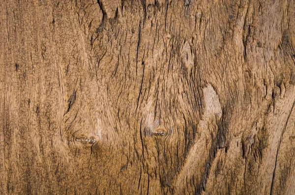 Casca textura de madeira como fundo natural — Fotografia de Stock
