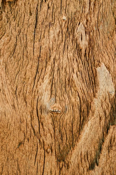 Casca textura de madeira como fundo natural — Fotografia de Stock