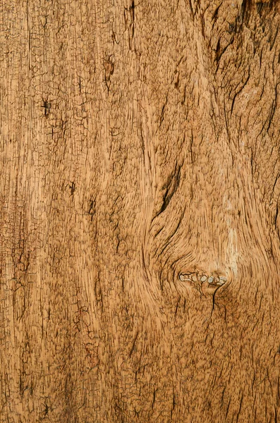 Corteccia struttura in legno come sfondo naturale — Foto Stock