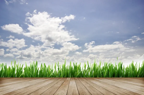 Plate-forme en bois et herbe verte avec fond bleu ciel — Photo