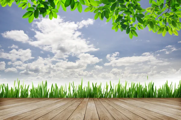 Plataforma de madera y hierba verde con fondo azul cielo — Foto de Stock