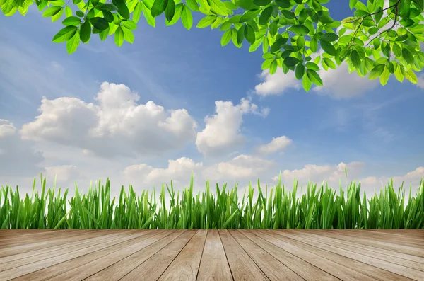 Plataforma de madeira e grama verde com fundo azul céu — Fotografia de Stock