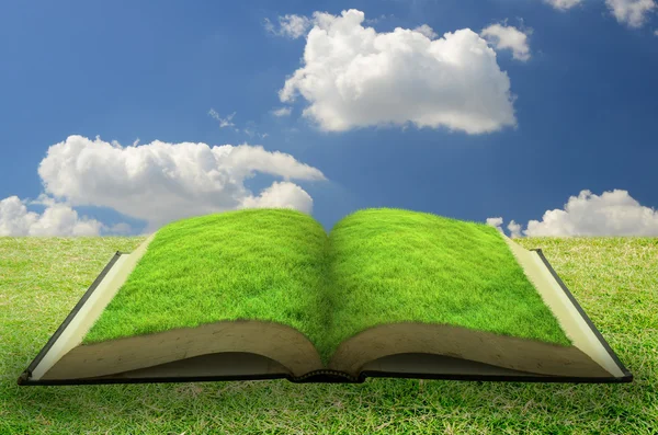 Open gras boek met blauwe hemelachtergrond — Stockfoto