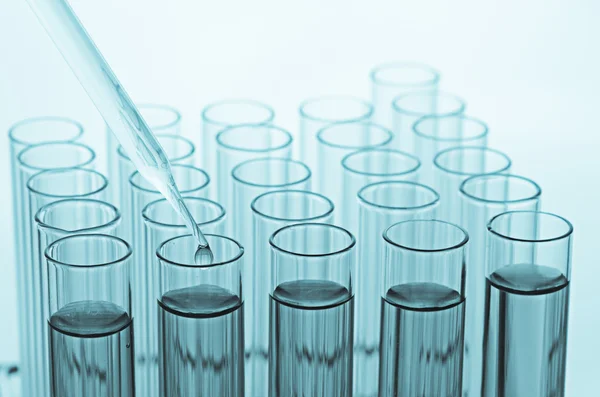 Science laboratory test tubes — Stock Photo, Image