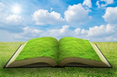 Mavi gökyüzü arka plan açık çim kitapla