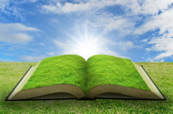 Open gras boek met blauwe hemelachtergrond — Stockfoto