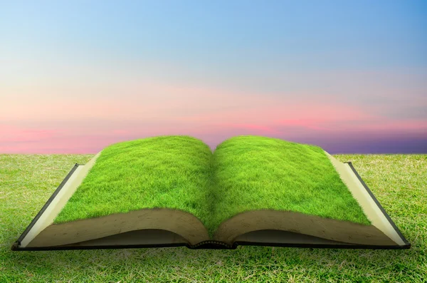 Open gras boek met hemelachtergrond — Stockfoto
