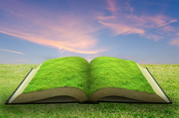 Open gras boek met hemelachtergrond — Stockfoto