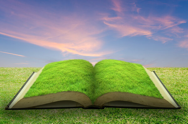 Open grass book with sky background