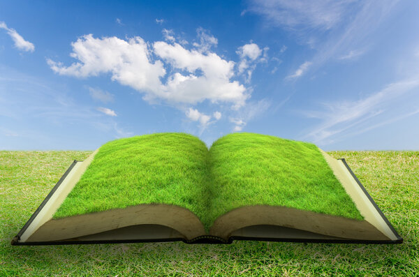 Open grass book with blue sky background