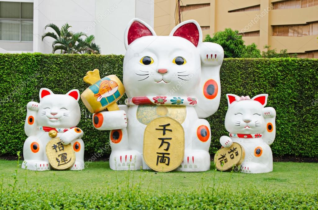 Chinesische Katze Chinesische Katze